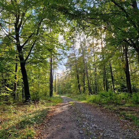 Blue Lake House Lekarty